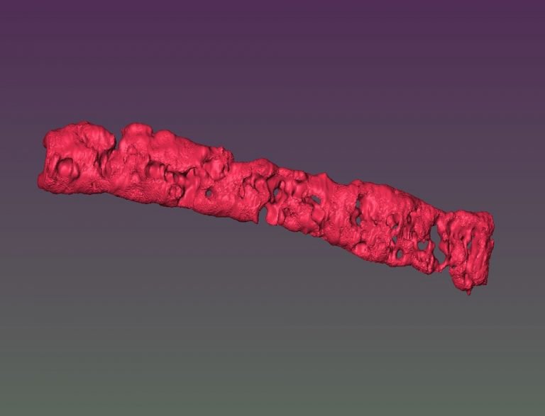 賓州州立大學研究人員3D打印多孔組織鏈讓軟骨再生